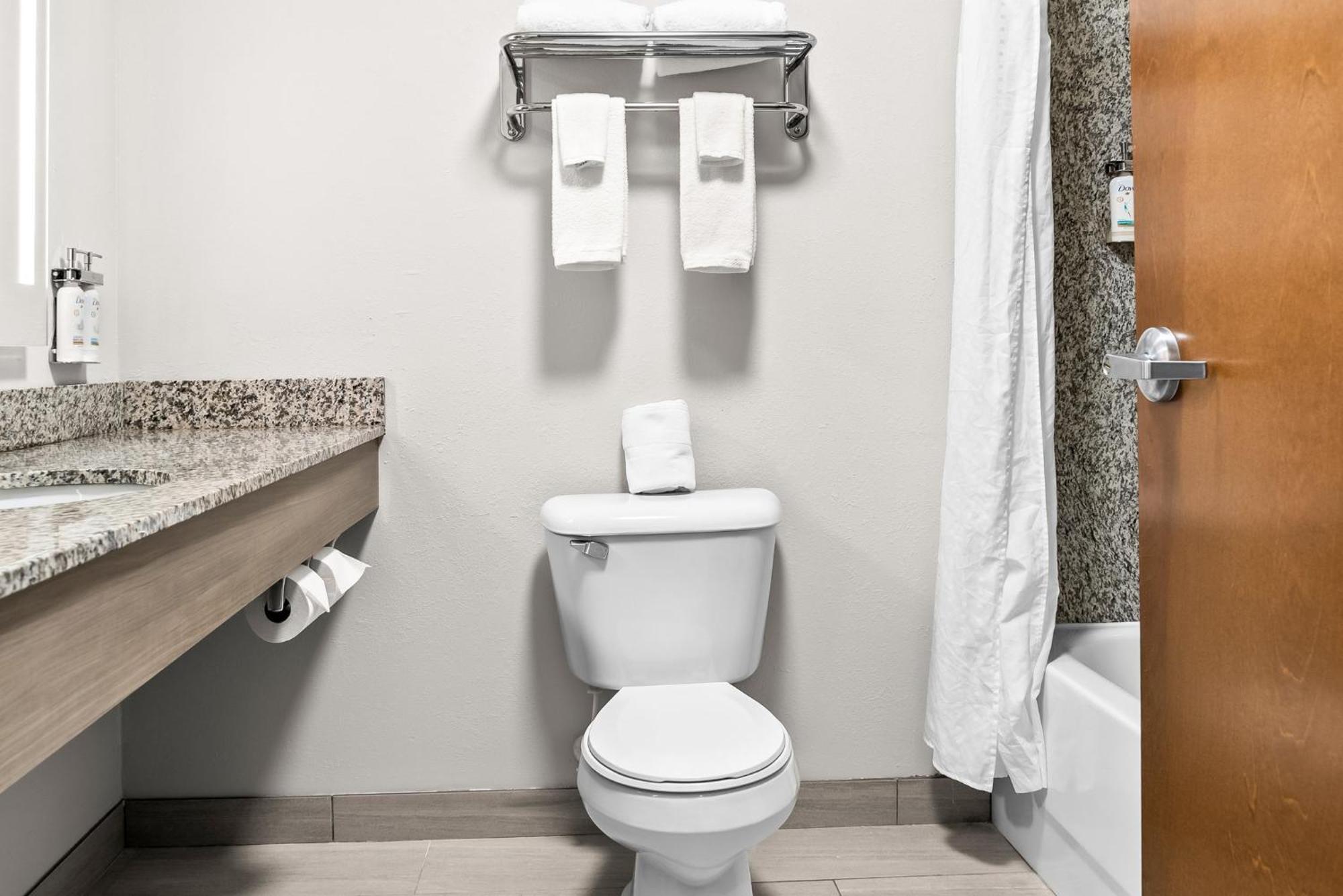 Holiday Inn Express & Suites Detroit - Novi By Ihg Eksteriør bilde